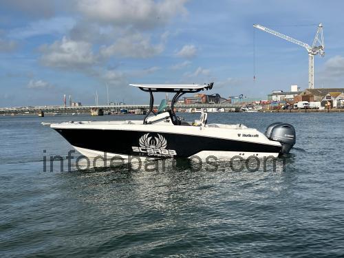 Wellcraft 262 Scarab Offshore ficha técnica y opiniones